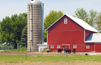 Farmland 