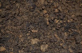 soil