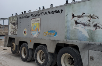 Port Inland_Trout Release