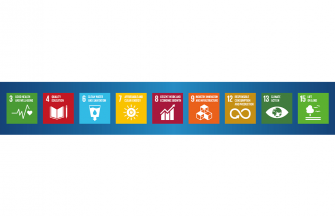 sdg