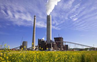 Plant with flue gases in a very green environment and with a blue sky