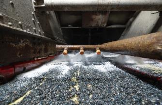 Washing the crushed stones to avoid dust further on in the process