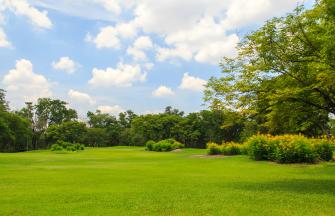 Garden_green_field