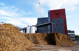 Biomass_3