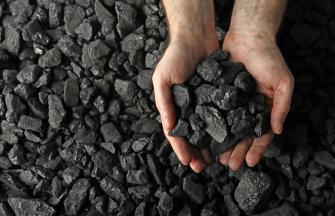 coal in dusty hands