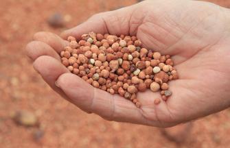 small pieces of bauxite