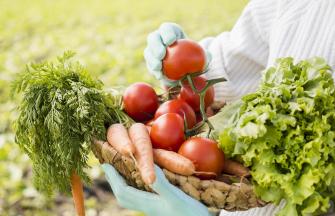 basket-full-vegetables