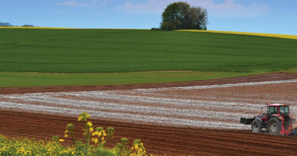 The importance of agricultural lime Carmeuse