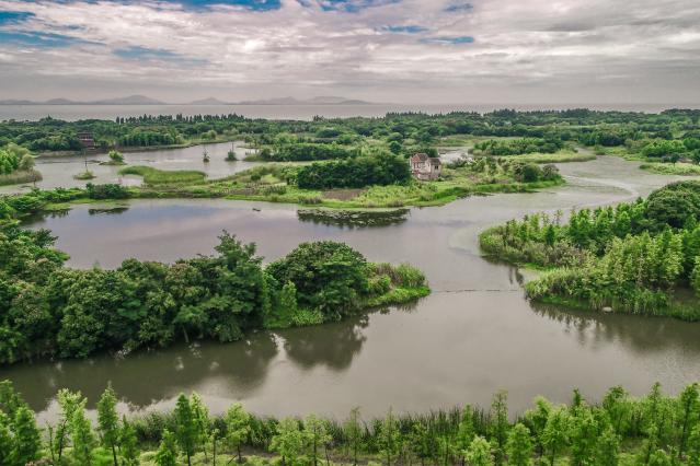 Fishponds_lake_green