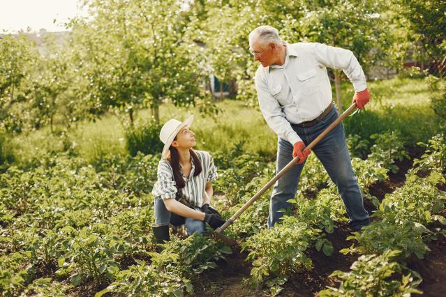 Agriculture_main_photo_garden