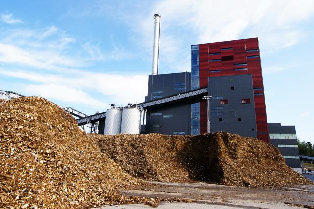 Biomass_3