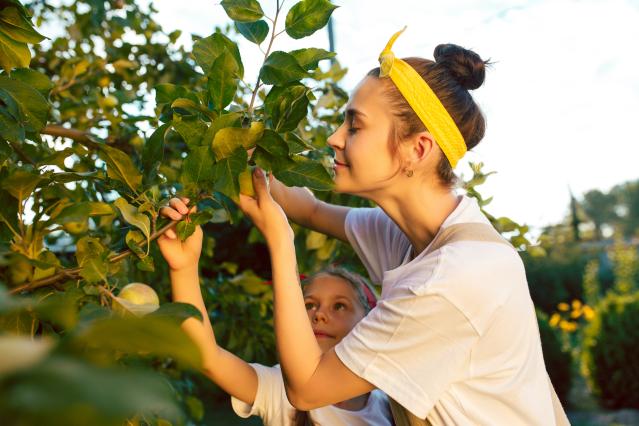 young-family-picking-apples