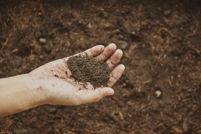 woman-holding-soil-her-hand