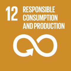 sdg12