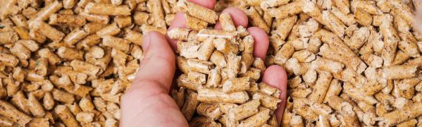 Biomass_pellets