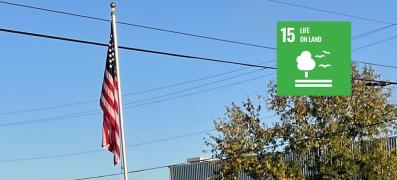 CW_Flag for Veterans_LV-1
