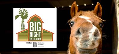 LV_night-on-the-farm_LV-1