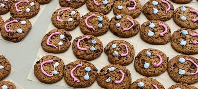 bv_cookies_lv-1.jpg