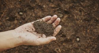woman-holding-soil-her-hand
