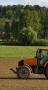 agriculture