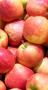 red apples